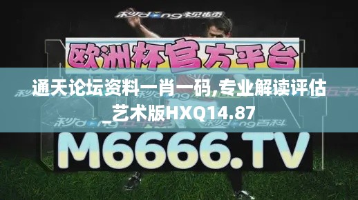 通天论坛资料一肖一码,专业解读评估_艺术版HXQ14.87