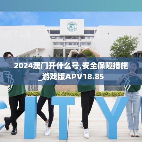 2024澳门开什么号,安全保障措施_游戏版APV18.85