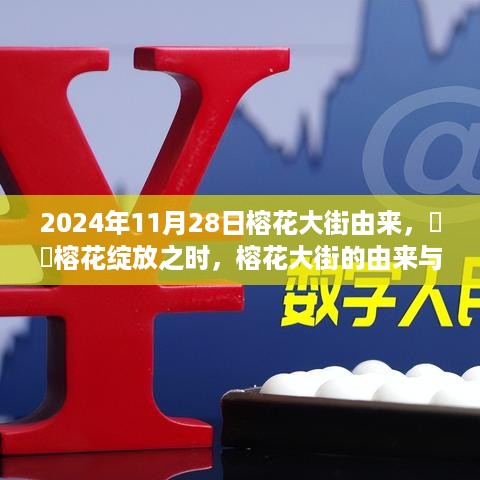 榕花绽放之际，榕花大街的由来与变迁（2024年11月28日）