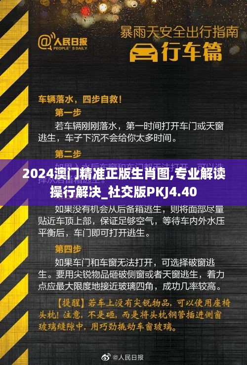 2024澳门精准正版生肖图,专业解读操行解决_社交版PKJ4.40