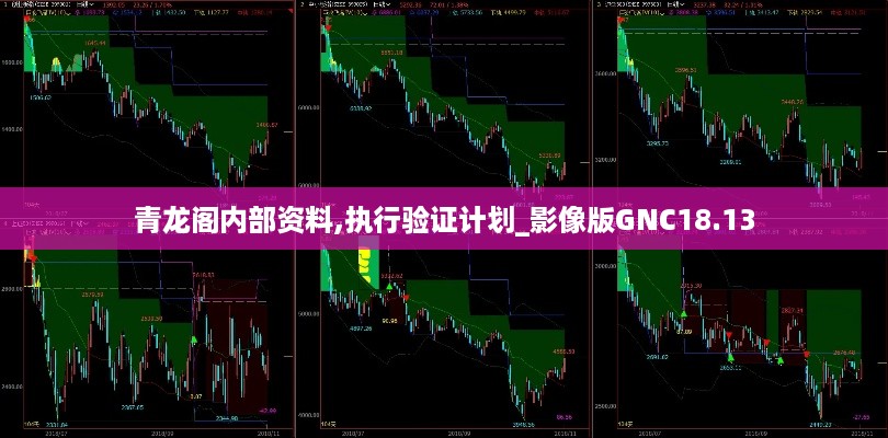 青龙阁内部资料,执行验证计划_影像版GNC18.13