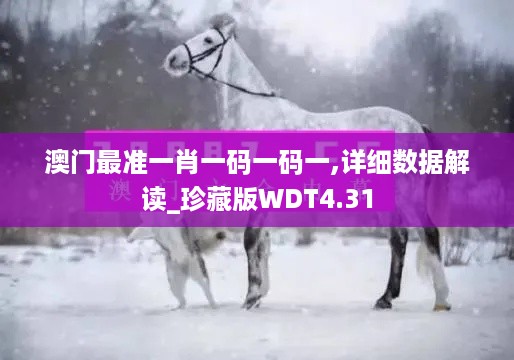 澳门最准一肖一码一码一,详细数据解读_珍藏版WDT4.31