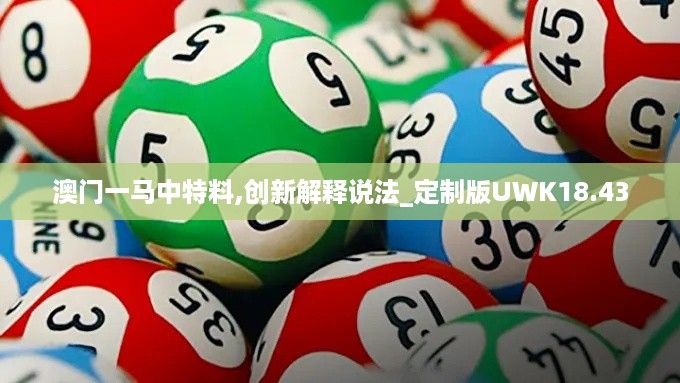 澳门一马中特料,创新解释说法_定制版UWK18.43