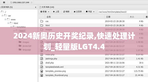 2024新奥历史开奖纪录,快速处理计划_轻量版LGT4.4