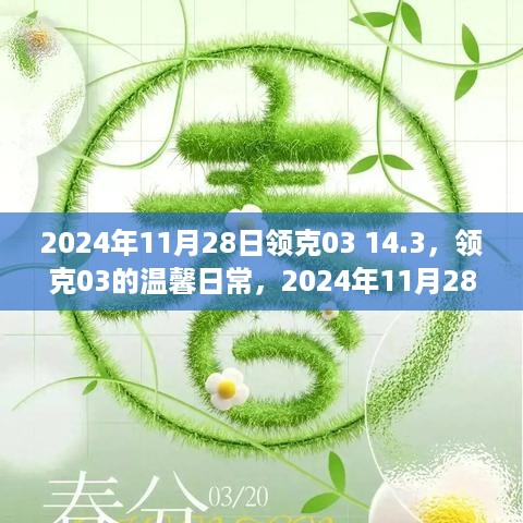 2024年11月28日领克03 14.3，领克03的温馨日常，2024年11月28日的特别记忆