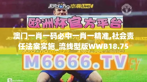 澳门一肖一码必中一肖一精准,社会责任法案实施_流线型版WWB18.75