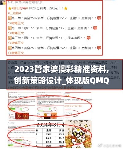 2023管家婆澳彩精准资料,创新策略设计_体现版QMQ18.16