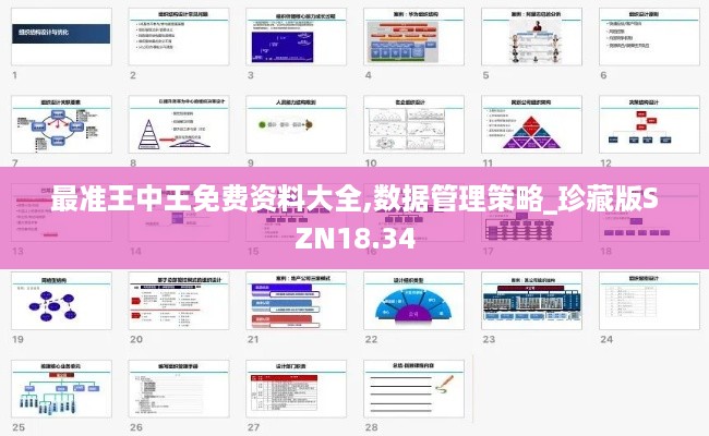 最准王中王免费资料大全,数据管理策略_珍藏版SZN18.34