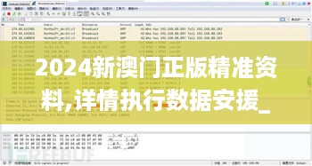 2024新澳门正版精准资料,详情执行数据安援_远程版EYB18.98