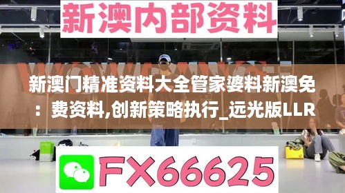 新澳门精准资料大全管家婆料新澳免：费资料,创新策略执行_远光版LLR18.4