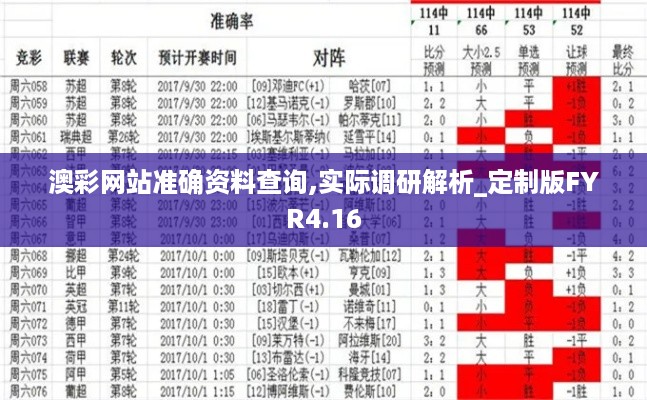 澳彩网站准确资料查询,实际调研解析_定制版FYR4.16