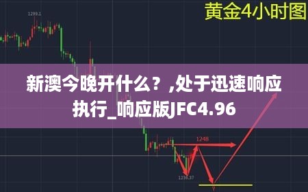 新澳今晚开什么？,处于迅速响应执行_响应版JFC4.96