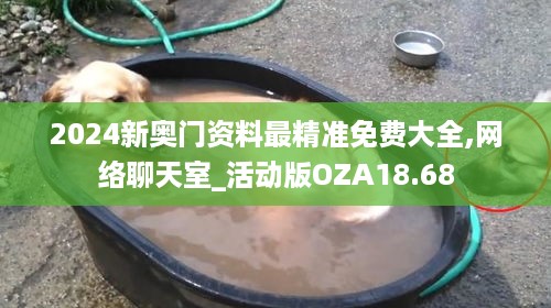 2024新奥门资料最精准免费大全,网络聊天室_活动版OZA18.68