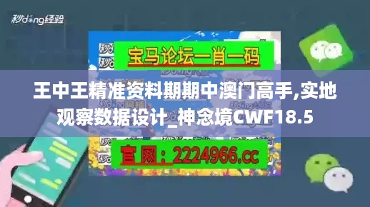 王中王精准资料期期中澳门高手,实地观察数据设计_神念境CWF18.5