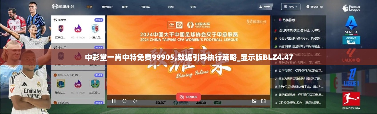 中彩堂一肖中特免费99905,数据引导执行策略_显示版BLZ4.47