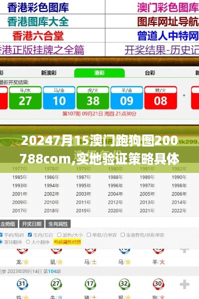 20247月15澳门跑狗图200788com,实地验证策略具体_轻奢版VCU18.99