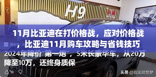 11月比亚迪价格战应对指南，购车攻略与省钱技巧