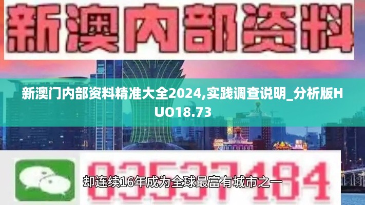 新澳门内部资料精准大全2024,实践调查说明_分析版HUO18.73