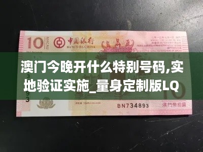 澳门今晚开什么特别号码,实地验证实施_量身定制版LQW18.60