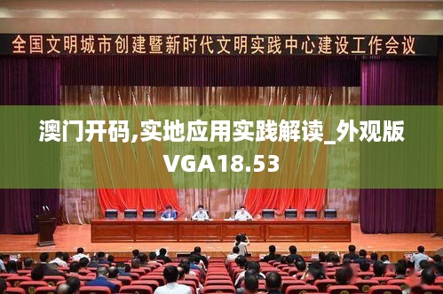 澳门开码,实地应用实践解读_外观版VGA18.53