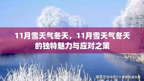 11月雪天气冬天的魅力与挑战，独特风景与应对之策