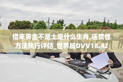 借来黄金不是土是什么生肖,连贯性方法执行评估_世界版DVV18.42