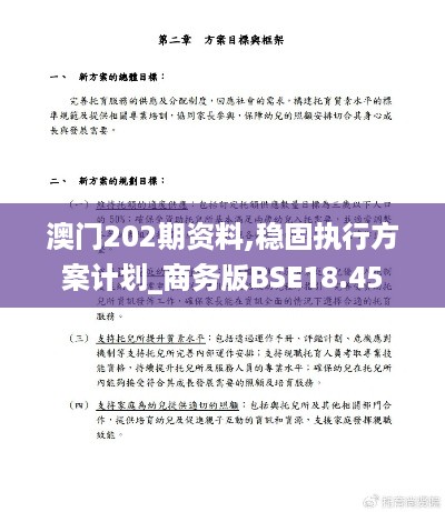 澳门202期资料,稳固执行方案计划_商务版BSE18.45