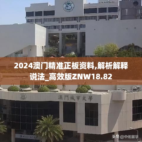 2024年11月29日 第17页