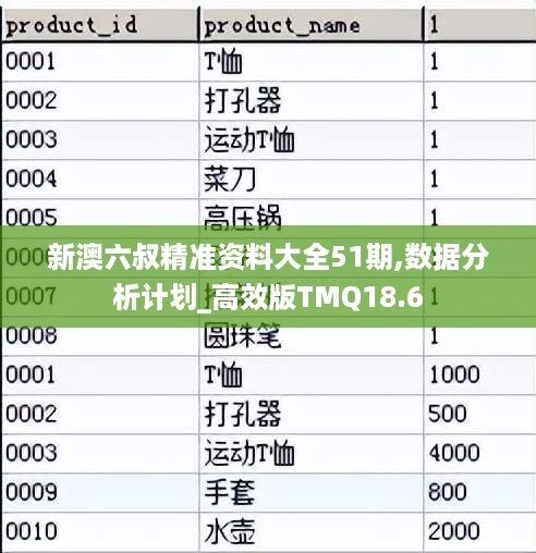 新澳六叔精准资料大全51期,数据分析计划_高效版TMQ18.6