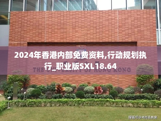 2024年香港内部免费资料,行动规划执行_职业版SXL18.64