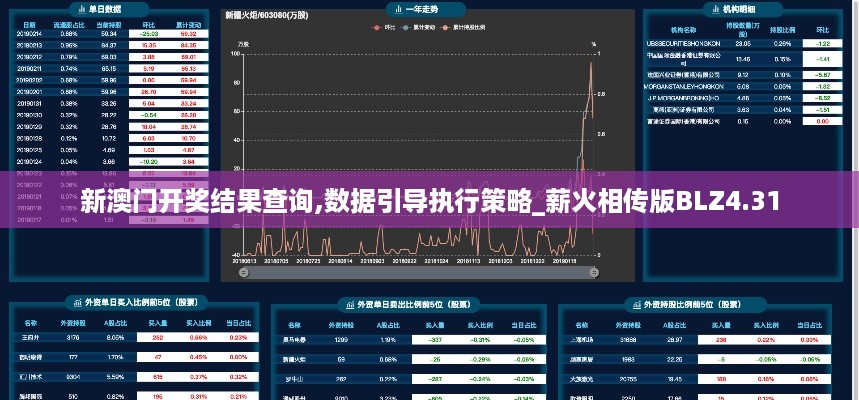 新澳门开奖结果查询,数据引导执行策略_薪火相传版BLZ4.31