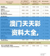 澳门天天彩资料大全,全面实施策略设计_限量版YZE18.7