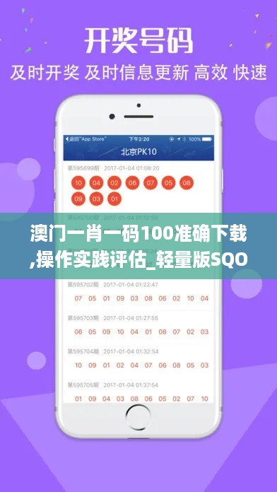 澳门一肖一码100准确下载,操作实践评估_轻量版SQO4.46