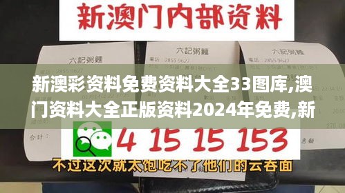 新澳彩资料免费资料大全33图库,澳门资料大全正版资料2024年免费,新澳彩资料免,全盘细明说明_晴朗版BFC18.94