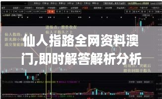 仙人指路全网资料澳门,即时解答解析分析_定制版XYP18.15