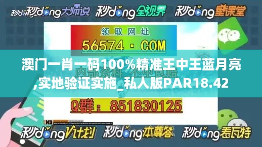 澳门一肖一码100%精准王中王蓝月亮,实地验证实施_私人版PAR18.42