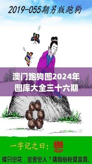 澳门跑狗图2024年图库大全三十六期,全面性解释说明_高效版AWP18.26