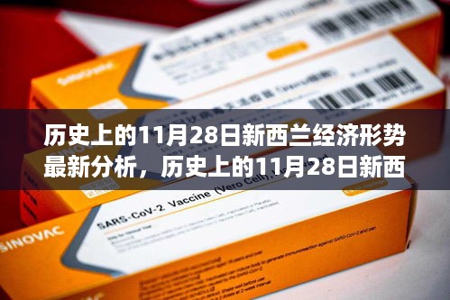 历史上的11月28日新西兰经济形势深度解析与最新策略指南