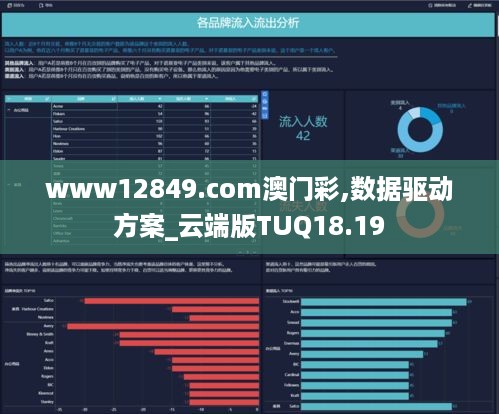 www12849.com澳门彩,数据驱动方案_云端版TUQ18.19