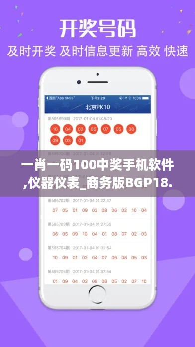 一肖一码100中奖手机软件,仪器仪表_商务版BGP18.56