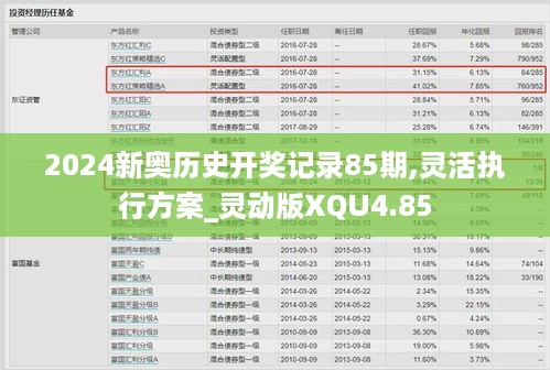 2024新奥历史开奖记录85期,灵活执行方案_灵动版XQU4.85