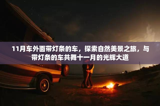 十一月璀璨车影探索自然美景之旅，带灯条车辆的共舞光辉大道