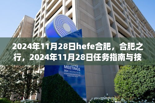 合肥之行，2024年11月28日任务指南与技能学习攻略（合肥站）