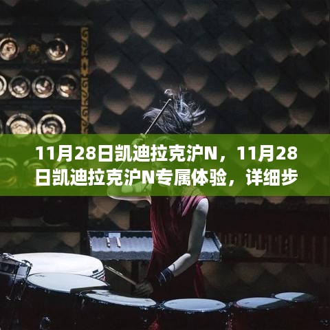 11月28日凯迪拉克沪N专属体验全攻略，详细步骤指南