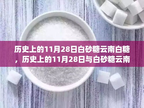 历史上的11月28日，白砂糖云南白糖制作指南揭秘