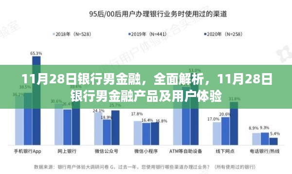 11月28日银行男金融产品深度解析与用户体验探讨