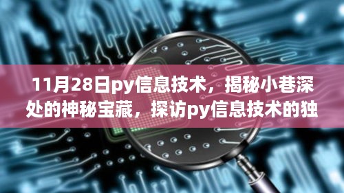 探访py信息技术神秘小巷的宝藏，揭秘独特魅力之所在