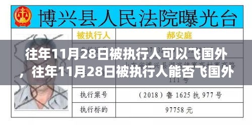 深入剖析，11月28日被执行人能否飞往国外，过去与现状的探讨