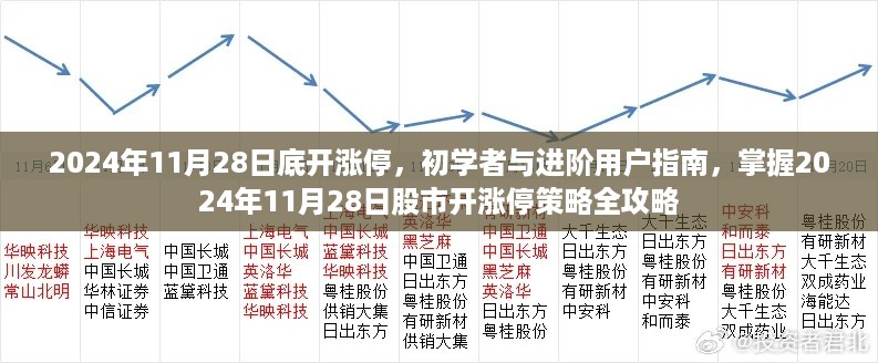 掌握2024年11月28日股市开涨停策略，初学者与进阶用户指南全攻略