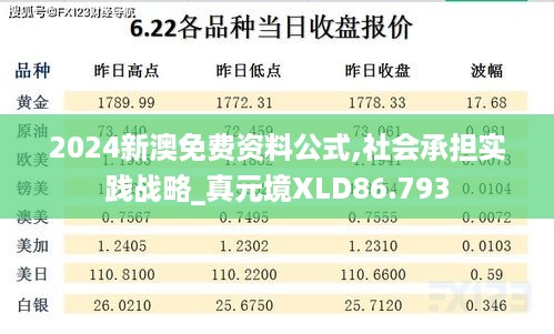 2024新澳免费资料公式,社会承担实践战略_真元境XLD86.793